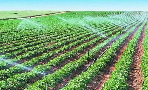 亚欧美女日批视频农田高 效节水灌溉
